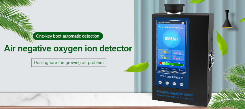 negative oxygen ion detector